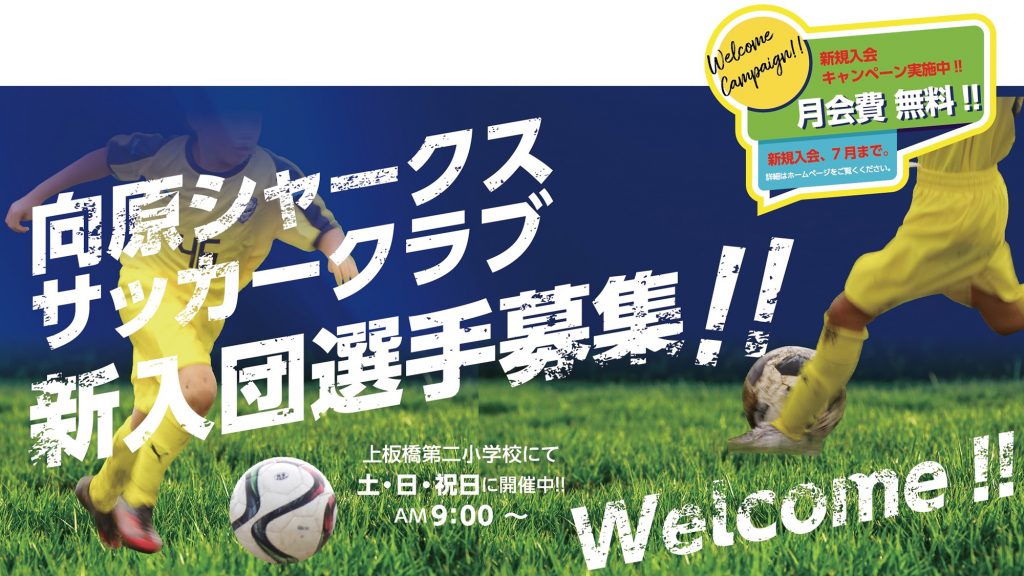 東京 都 少年 サッカー 連盟